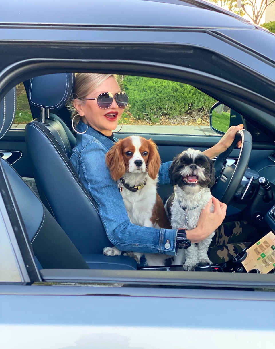 Lifestyle Influencer, Jamie Lewinger of More Than Turquoise with dogs, Lagerfeld and Valentino